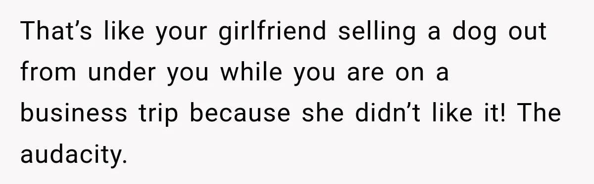 She Had His Dream Car Hauled to a Scrap Yard While He Was Away. He Took Her to Court Instead. That’s like your girlfriend selling a dog out from under you while you are on a business trip because she didn’t like it! The audacity.