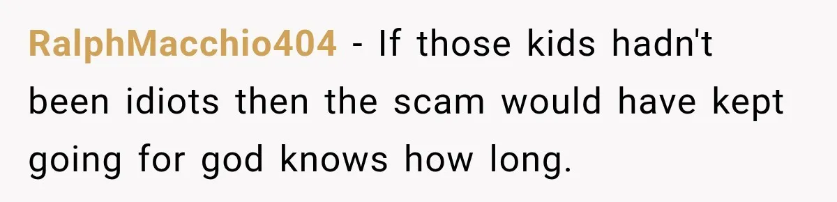 RalphMacchio404 − If those kids hadn't been idiots then the scam would have kept going for god knows how long.