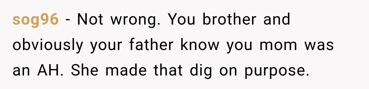 Daughter Left The Table After Years Of Being Compared To Her Brother sog96 − Not wrong. You brother and obviously your father know you mom was an AH. She made that dig on purpose.