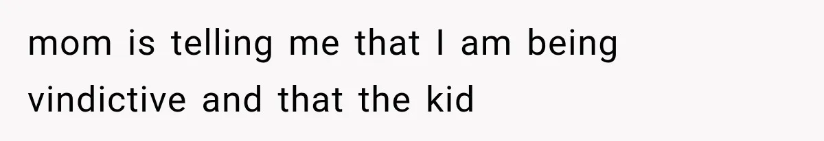mom is telling me that I am being vindictive and that the kid