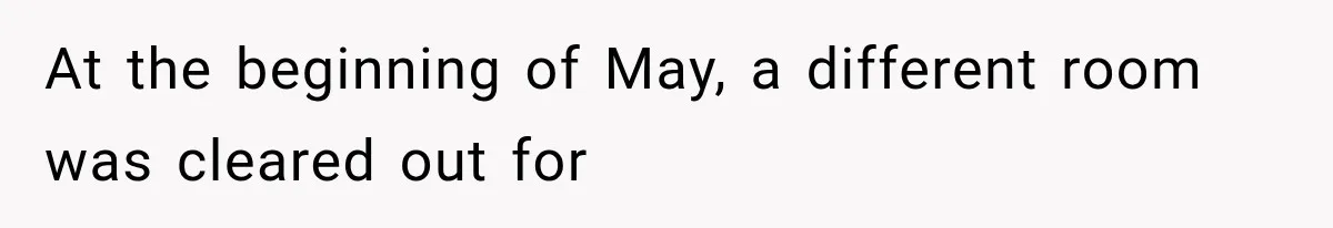 At the beginning of May, a different room was cleared out for