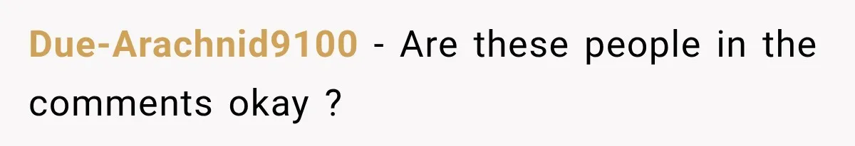 Due-Arachnid9100 − Are these people in the comments okay ?