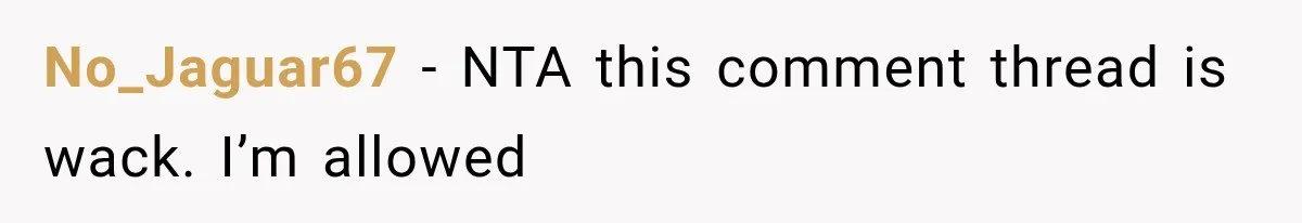 No_Jaguar67 − NTA this comment thread is wack. I’m allowed