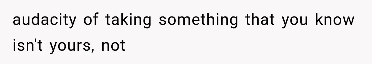 audacity of taking something that you know isn't yours, not
