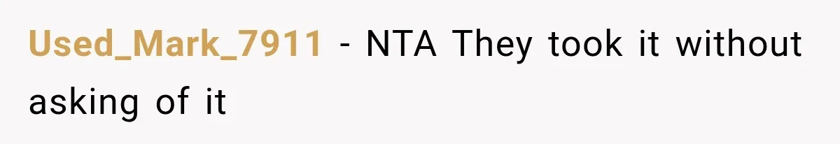 Used_Mark_7911 − NTA They took it without asking of it