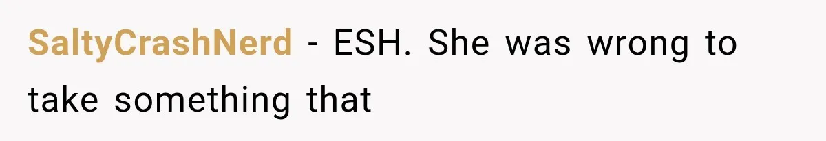 SaltyCrashNerd − ESH. She was wrong to take something that
