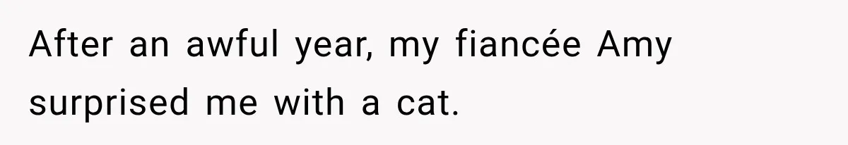 Woman Names Her Cat After Her Grandma, Then Her Pregnant Sister Accuses Her of Stealing Her Baby Name After an awful year, my fiancée Amy surprised me with a cat.