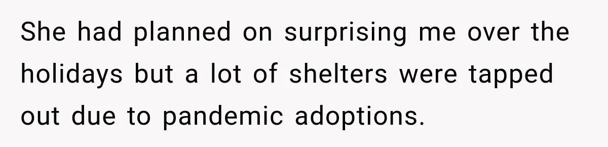 Woman Names Her Cat After Her Grandma, Then Her Pregnant Sister Accuses Her of Stealing Her Baby Name She had planned on surprising me over the holidays but a lot of shelters were tapped out due to pandemic adoptions.