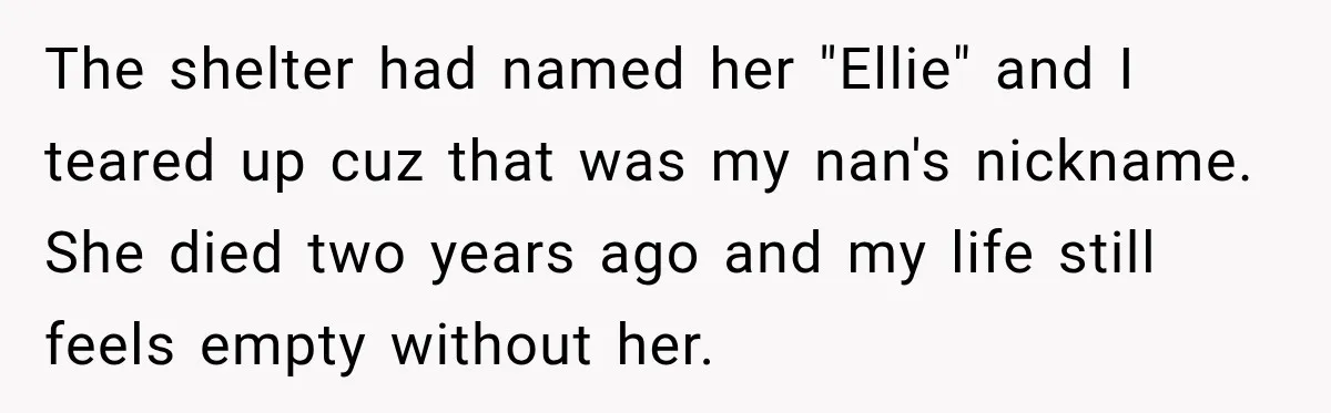Woman Names Her Cat After Her Grandma, Then Her Pregnant Sister Accuses Her of Stealing Her Baby Name The shelter had named her "Ellie" and I teared up cuz that was my nan's nickname. She died two years ago and my life still feels empty without her.