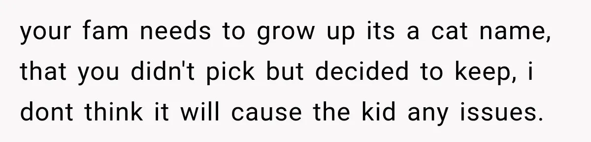 Woman Names Her Cat After Her Grandma, Then Her Pregnant Sister Accuses Her of Stealing Her Baby Name your fam needs to grow up its a cat name, that you didn't pick but decided to keep, i dont think it will cause the kid any issues.