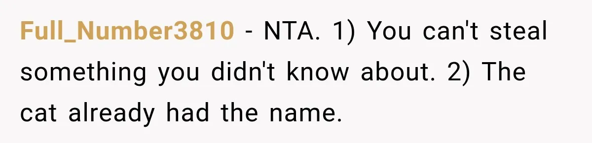 Woman Names Her Cat After Her Grandma, Then Her Pregnant Sister Accuses Her of Stealing Her Baby Name Full_Number3810 − NTA. 1) You can't steal something you didn't know about. 2) The cat already had the name.