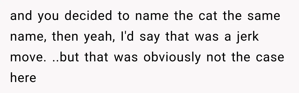 Woman Names Her Cat After Her Grandma, Then Her Pregnant Sister Accuses Her of Stealing Her Baby Name and you decided to name the cat the same name, then yeah, I'd say that was a jerk move. ..but that was obviously not the case here