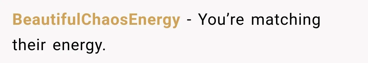 BeautifulChaosEnergy − You’re matching their energy.