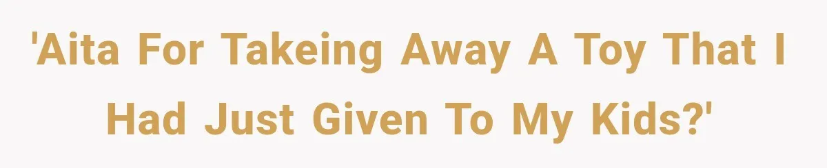 'AITA for takeing away a toy that I had just given to my kids?'