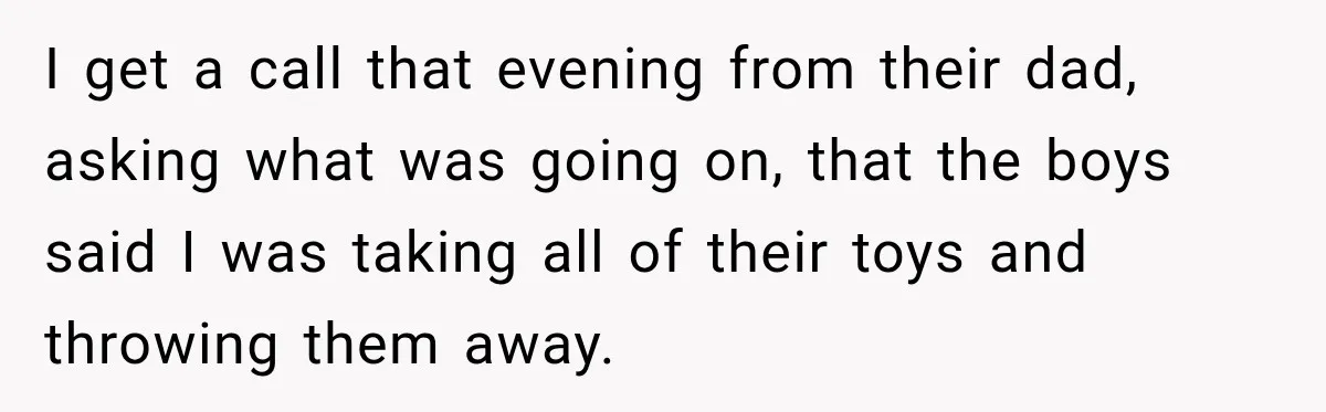 I get a call that evening from their dad, asking what was going on, that the boys said I was taking all of their toys and throwing them away.