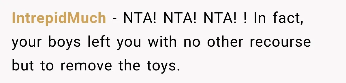 IntrepidMuch − NTA! NTA! NTA! ! In fact, your boys left you with no other recourse but to remove the toys.