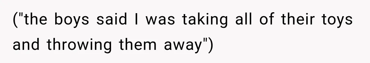 ("the boys said I was taking all of their toys and throwing them away")