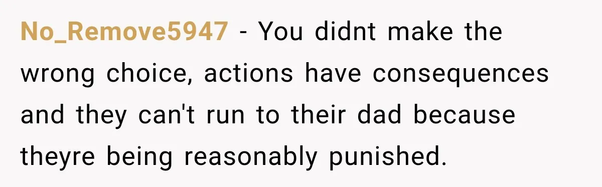 No_Remove5947 − You didnt make the wrong choice, actions have consequences and they can't run to their dad because theyre being reasonably punished.