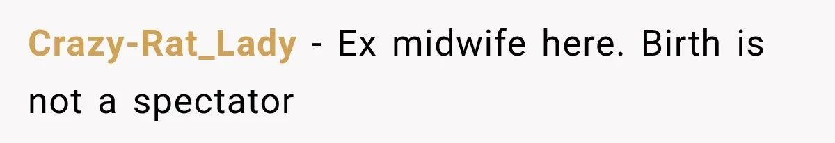 MIL Calls Her Grandchild “My Baby,” Then Demands A Front-Row Seat To The Delivery Crazy-Rat_Lady − Ex midwife here. Birth is not a spectator