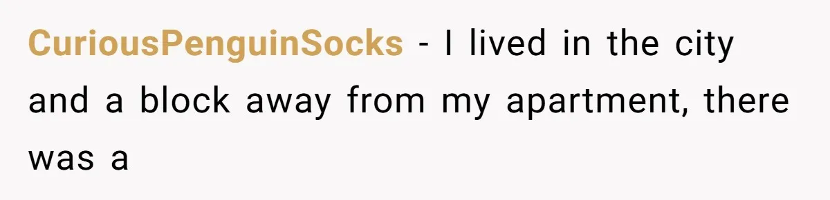 CuriousPenguinSocks − I lived in the city and a block away from my apartment, there was a