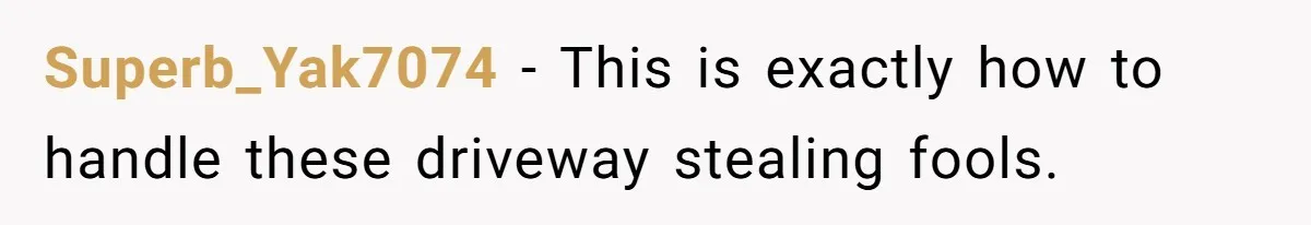 Superb_Yak7074 − This is exactly how to handle these driveway stealing fools.