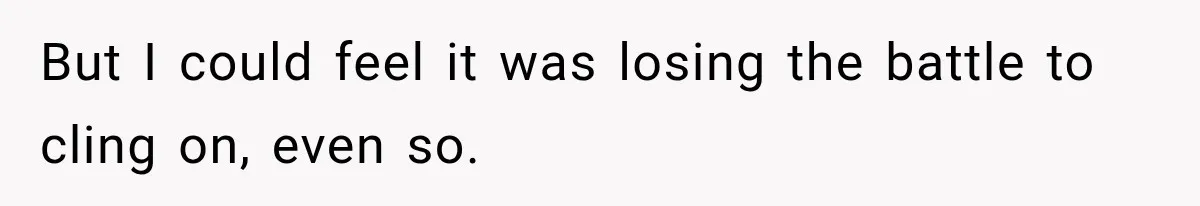 Boss Downplayed His Chemotherapy, So He Handed Her The Proof But I could feel it was losing the battle to cling on, even so.