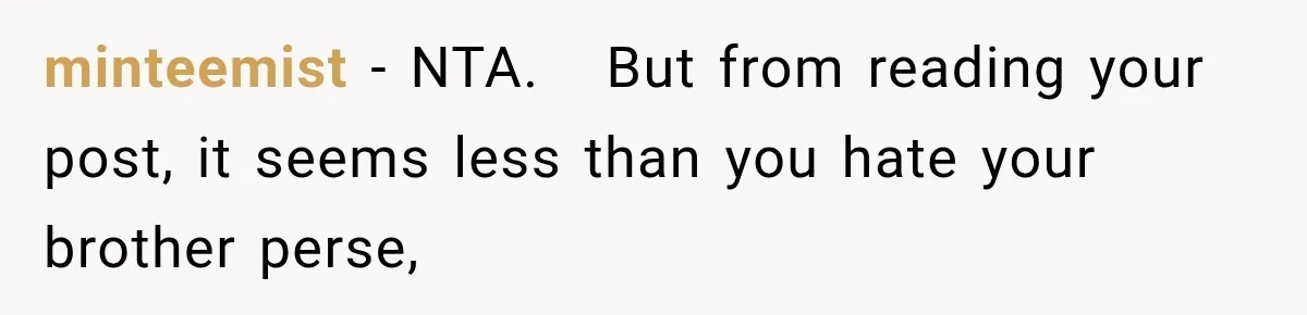 minteemist − NTA.   But from reading your post, it seems less than you hate your brother perse,