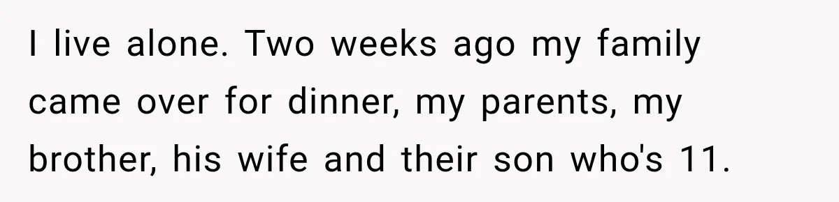 I live alone. Two weeks ago my family came over for dinner, my parents, my brother, his wife and their son who's 11.