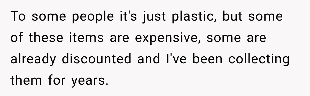 To some people it's just plastic, but some of these items are expensive, some are already discounted and I've been collecting them for years.