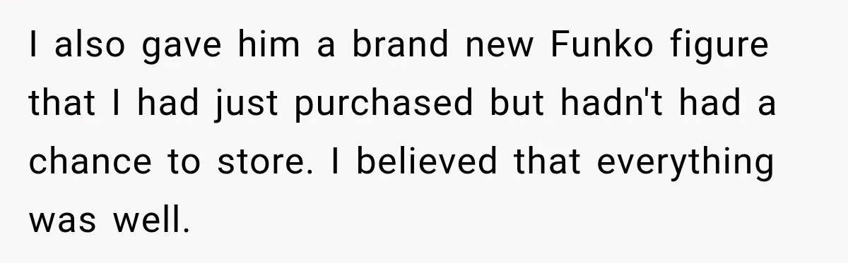 I also gave him a brand new Funko figure that I had just purchased but hadn't had a chance to store. I believed that everything was well.