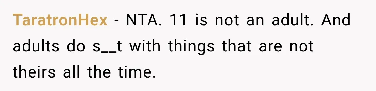 TaratronHex − NTA. 11 is not an adult. And adults do s__t with things that are not theirs all the time.
