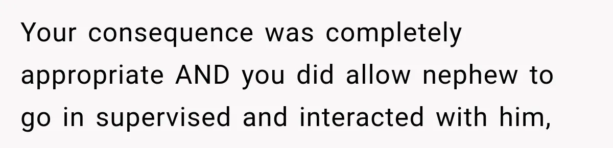 Your consequence was completely appropriate AND you did allow nephew to go in supervised and interacted with him,
