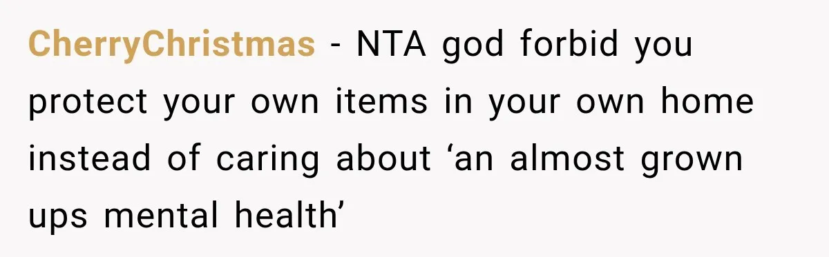 CherryChristmas − NTA god forbid you protect your own items in your own home instead of caring about ‘an almost grown ups mental health’