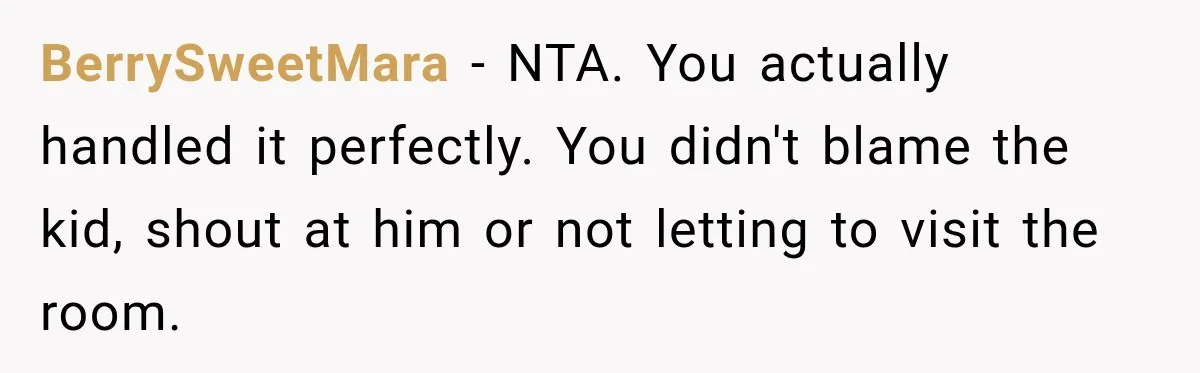 BerrySweetMara − NTA. You actually handled it perfectly. You didn't blame the kid, shout at him or not letting to visit the room.