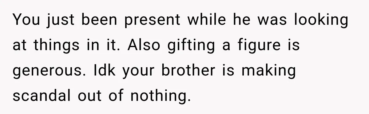 You just been present while he was looking at things in it. Also gifting a figure is generous. Idk your brother is making scandal out of nothing.