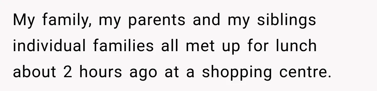 My family, my parents and my siblings individual families all met up for lunch about 2 hours ago at a shopping centre.