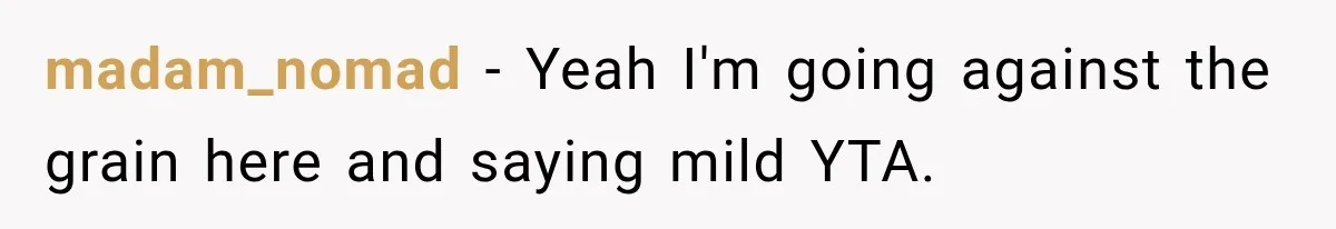 madam_nomad − Yeah I'm going against the grain here and saying mild YTA.
