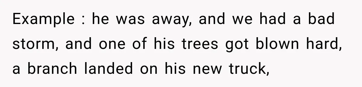 Example : he was away, and we had a bad storm, and one of his trees got blown hard, a branch landed on his new truck,