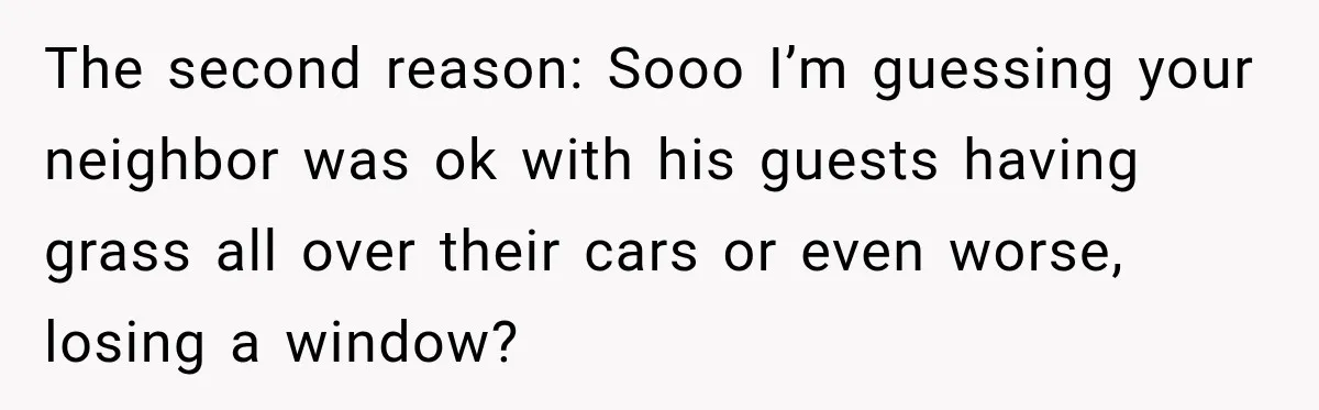 The second reason: Sooo I’m guessing your neighbor was ok with his guests having grass all over their cars or even worse, losing a window?