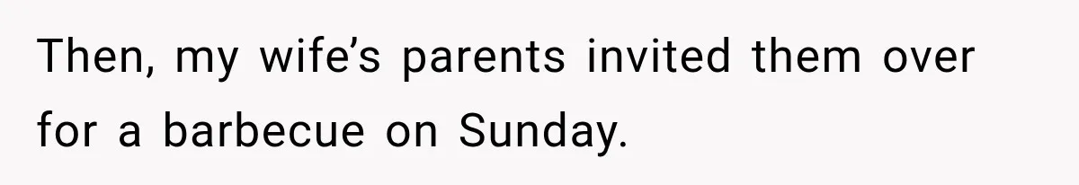 Wife Calls His Family Misunderstood, He Says One Barbecue Will Prove Everything Then, my wife’s parents invited them over for a barbecue on Sunday.