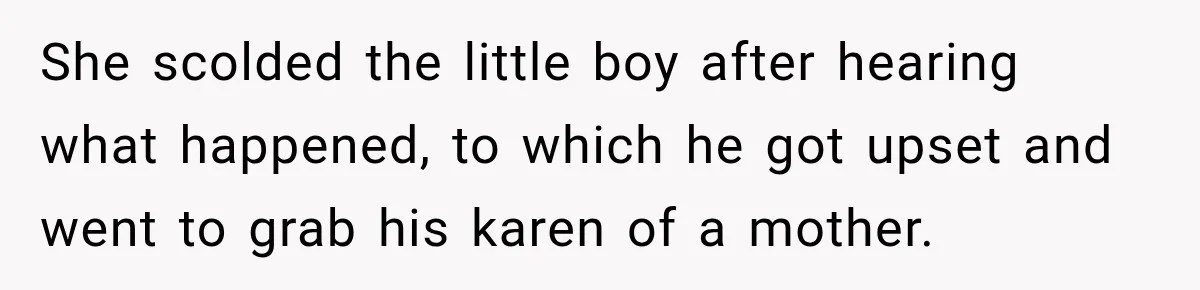 She scolded the little boy after hearing what happened, to which he got upset and went to grab his karen of a mother.