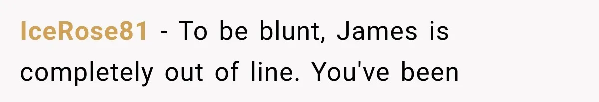 Newly Found Son Says His Adopted Brother Isn't “Real Family,” And Dad Shuts It Down Fast IceRose81 − To be blunt, James is completely out of line. You've been