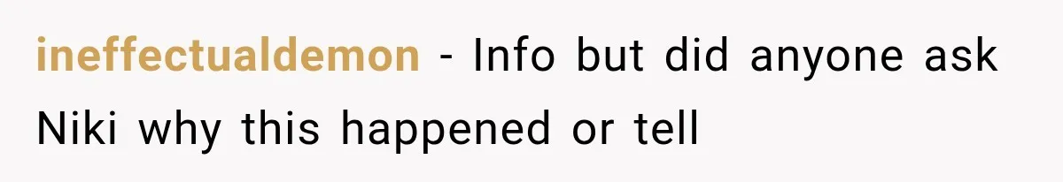 ineffectualdemon − Info but did anyone ask Niki why this happened or tell