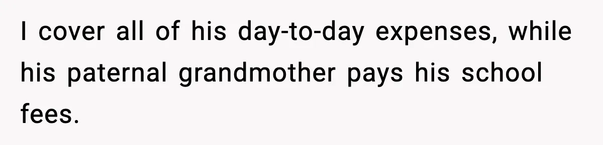 I cover all of his day-to-day expenses, while his paternal grandmother pays his school fees.