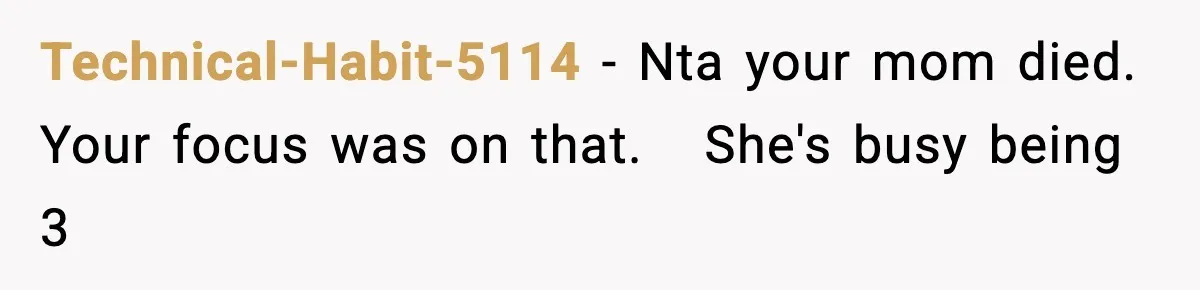Technical-Habit-5114 − Nta your mom died. Your focus was on that.   She's busy being 3