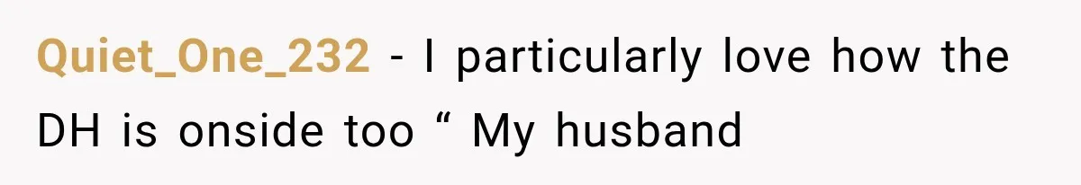 Quiet_One_232 − I particularly love how the DH is onside too “ My husband