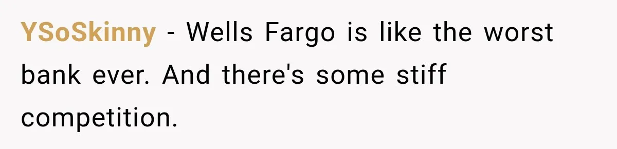 Customer Makes Wells Fargo Mail A Useless Statement Every Month Out Of Pure Spite YSoSkinny − Wells Fargo is like the worst bank ever. And there's some stiff competition.