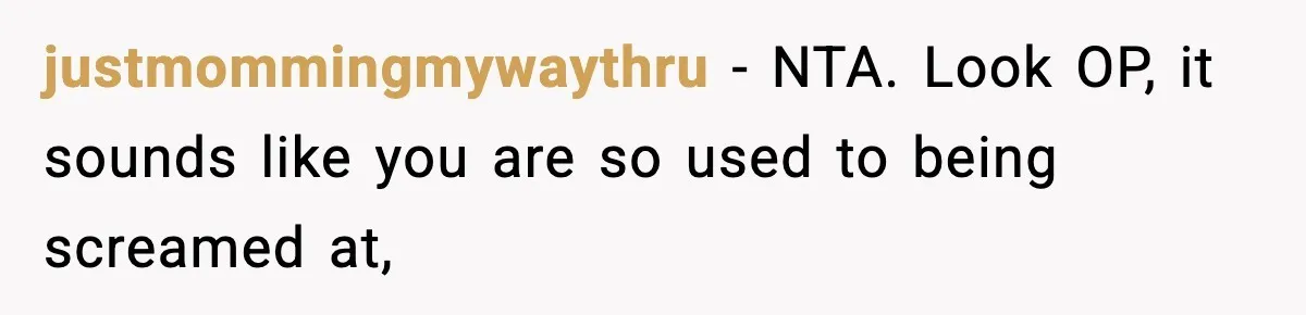 justmommingmywaythru − NTA. Look OP, it sounds like you are so used to being screamed at,