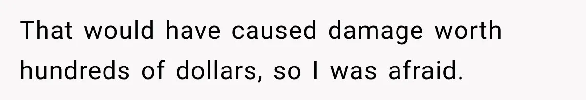 Couple Gets Upset After Friend Refuses to Host Their Unsupervised Child Again That would have caused damage worth hundreds of dollars, so I was afraid.