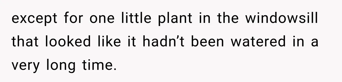 except for one little plant in the windowsill that looked like it hadn’t been watered in a very long time.